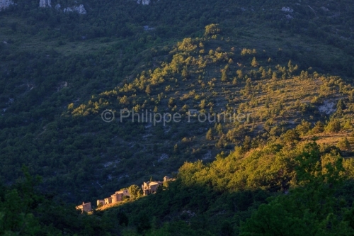 IMG_1907051700_Drôme (26)  Le Poët Sigillat Parc Naturel Régi