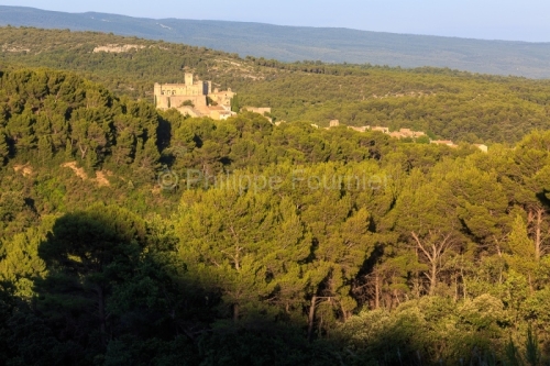 IMG_1907072325_Vaucluse (84)  Le Barroux Pays des Dentelles de M