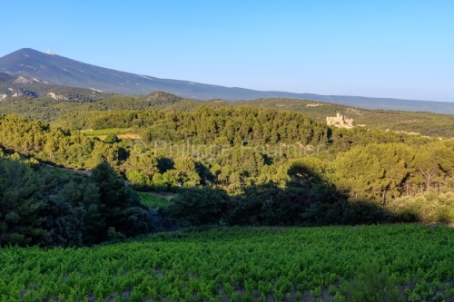 IMG_1907072341_Vaucluse (84)  Le Barroux Pays des Dentelles de M