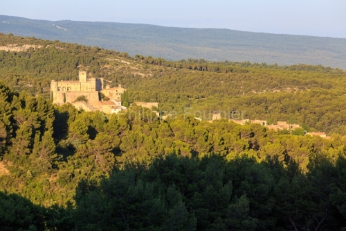 IMG_1907072347_Vaucluse (84)  Le Barroux Pays des Dentelles de M