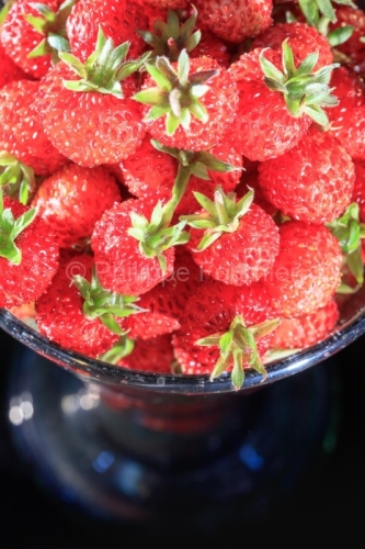IMG_17053388_Ardèche (07) Dark Food Fraise des Bois Culinaire