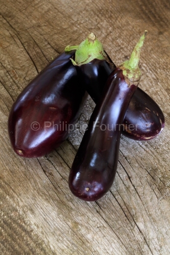 IMG_17074726_Ardèche (07)) culinaire Aubergines