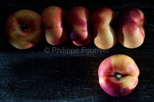 IMG_17096692_ARDECHE (07) STUDIO CULINAIRE PECHE BLANCHE