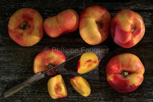 IMG_17096707_ARDECHE (07) STUDIO CULINAIRE PECHE BLANCHE