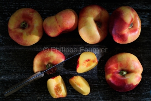 IMG_17096709_ARDECHE (07) STUDIO CULINAIRE PECHE BLANCHE