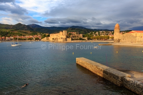 IMG_17096848_PYRéNéES ORIENTALES (66) COLLIOURE ANSE DE LA BAL