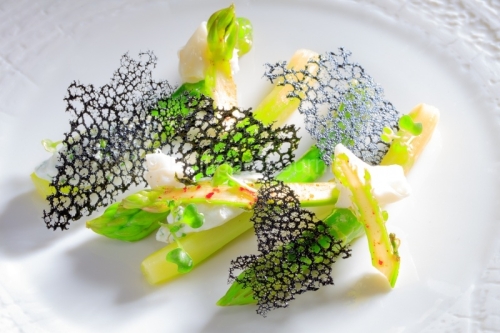 IMG_16010394_DROME (26) GRIGNAN ASPERGES VERTES EN JEU DE TEXTUR