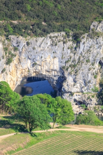 IMG_16041578_Ardeche (07) vallon pont d'arc reserve naturelle de