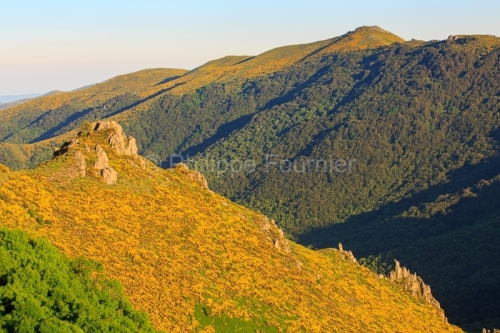 IMG_16064829_Ardèche (07) Montpezat Sous Bauzon Parc Naturel R