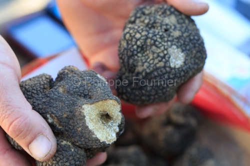IMG_16064978_ARDECHE (07) RUOMS MARCHE HEBDOMADAIRE TRUFFE D'ETE