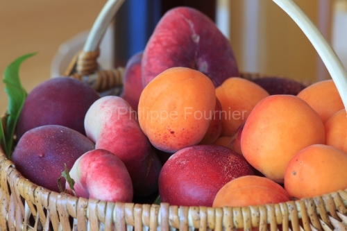 IMG_16075769_Drôme (26) La Roche de Glun abricots orange red P