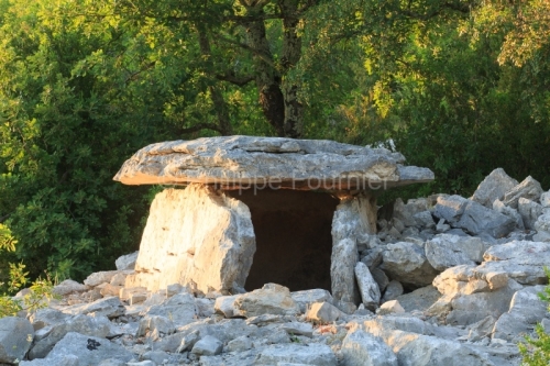IMG_15066653_ARDECHE (07) LABLACHERE LA NéCROPOLE BOURBOUILLET