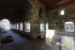 IMG_15070842_Ardèche (07) Mazan L'Abbaye patrimoine  le cloitre