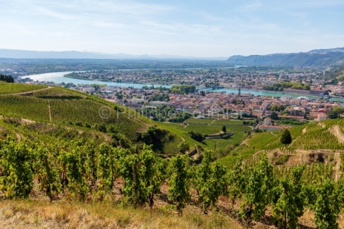 IMG_15084286_DROME (26) TAIN L'HERMITAGE PAYSAGE VINS DES CôTES