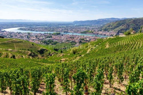 IMG_15084301_DROME (26) TAIN L'HERMITAGE PAYSAGE VINS DES CôTES