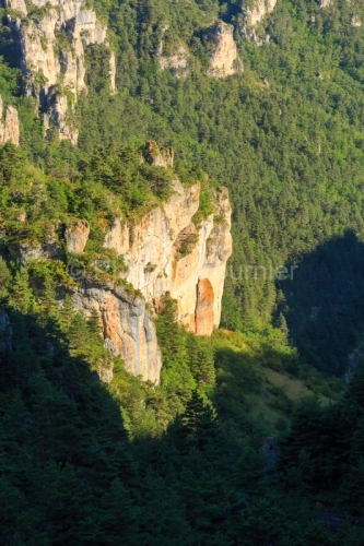 IMG_14077695_Lozère (48) Saint Pierre des Tripiers Gorges de la
