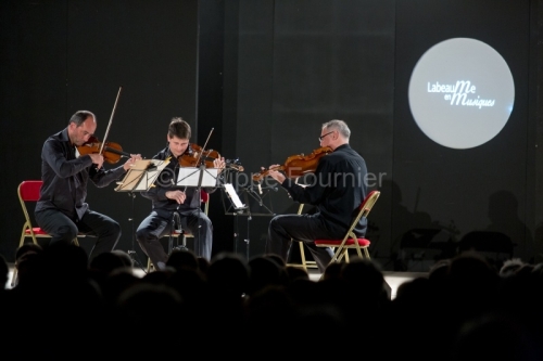 IMG_14078493_SOIREE QUATUOR TALICH THEATRE DE VERDURE LABEAUME E