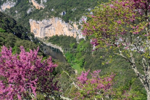 IMG_13057256_Ardeche (07) saint remeze reserve naturelle des gor