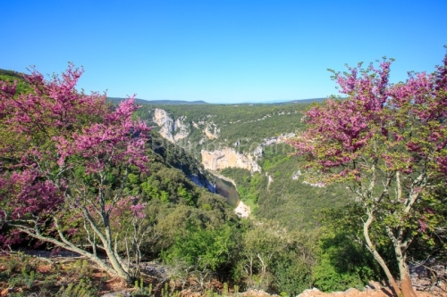 IMG_13057264_Ardeche (07) saint remeze reserve naturelle des gor