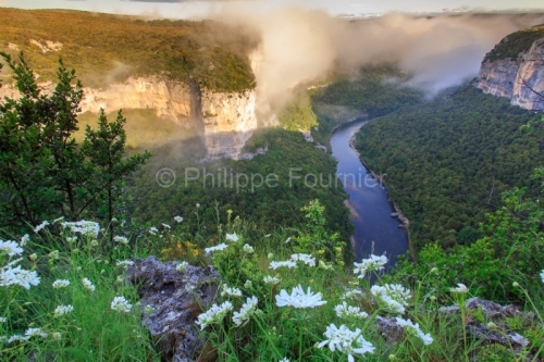 IMG_13059465_Ardeche (07) saint remeze reserve naturelle des gor