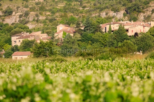 IMG_13061042_ARDECHE (07) CHASSAGNES LE VIGNOBLE