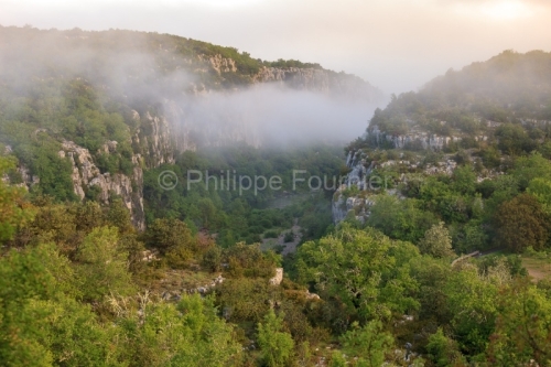 IMG_12050009_Ardeche (07) les vans bois de paiolive corniche du