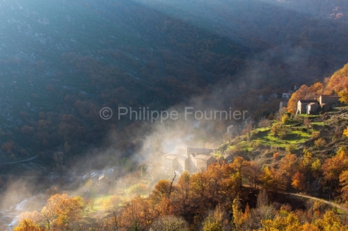 IMG_12110247_ARDECHE (07) MALARCE SUR LA THINES (PARC NATUREL RE