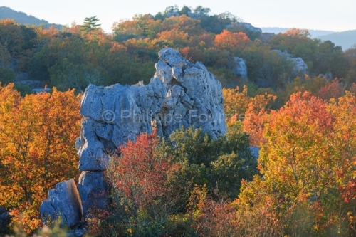 IMG_12110385_Ardeche (07) les vans bois de paiolive rocher de ca