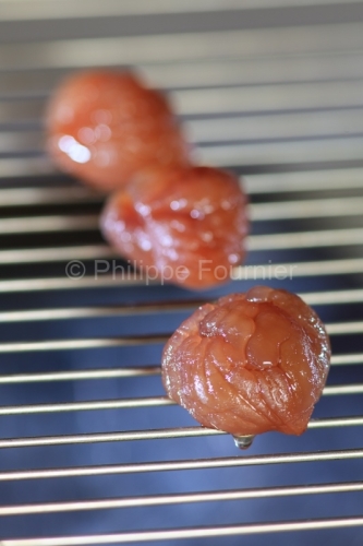 IMG_CFA_Ardeche (07) Culinaire MARRONS GLACE maison