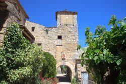IMG_0090_ARDECHE (07) LAGORCE SENTIER BOTANIQUE PLACE DE LA DîM