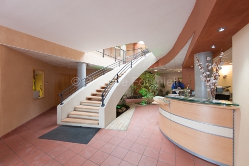 IMG_87819_ESCALIER HALL D'ACCUEIL SOCIETE EURONAT PEAUGRES ARDEC