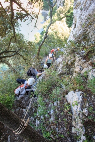 IMG_84521_Ardeche (07) vallon pont d'arc reserve naturelle des g