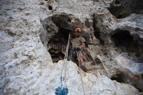 IMG_84626_Ardeche (07) vallon pont d'arc reserve naturelle des g