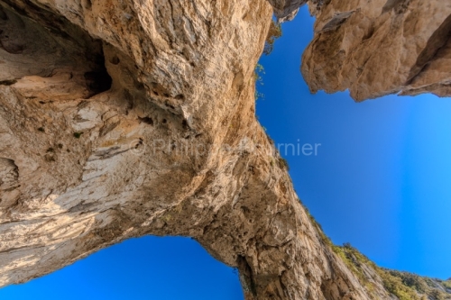 IMG_16052657_Ardèche (07) vallon pont d'arc réserve naturelle