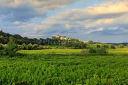 IMG_18068346_VAUCLUSE (84)  ANSOUIS VUE GéNERALE LE VIGNOBLE AU