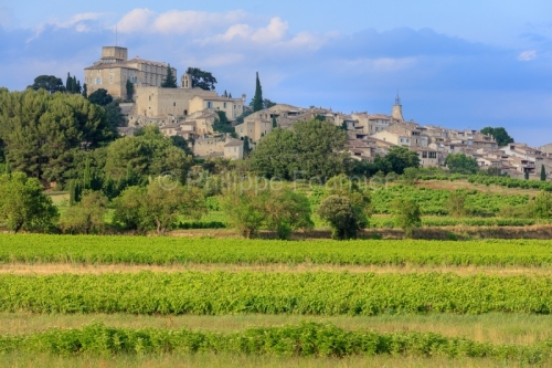 IMG_18068360_VAUCLUSE (84)  ANSOUIS VUE GéNERALE LE VIGNOBLE AU