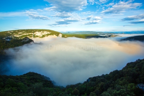 IMG_13059558_Ardeche (07) vallon pont d'arc reserve naturelle de
