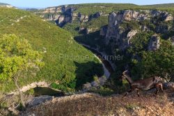 IMG_2205210258_ARDECHE (07) SAINT REMEZE RESERVE NATURELLE DES G