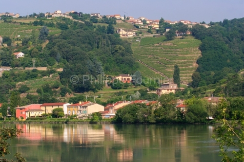 IMG_29664_Rhone (69) CONDRIEU VILLAGE au bord du Rhône le VIGNO