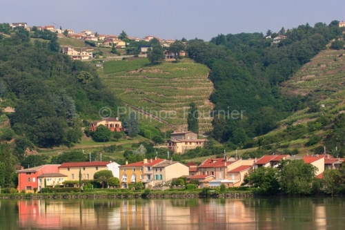 IMG_29669_Rhone (69) CONDRIEU VILLAGE au bord du Rhône le VIGNO