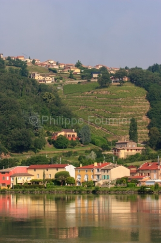 IMG_29672_Rhone (69) CONDRIEU VILLAGE au bord du Rhône le VIGNO