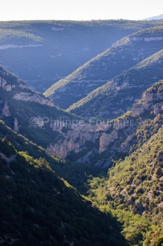 IMG_3053_VAUCLUSE (84) MONIEUX PAYSAGE GORGES DE LA NESQUE VUE D