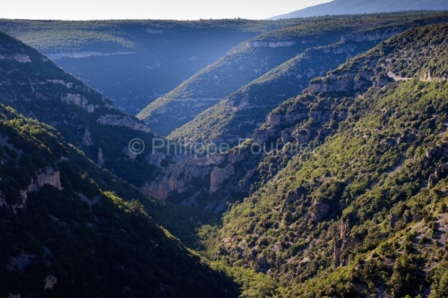 IMG_30539_VAUCLUSE (84) MONIEUX PAYSAGE GORGES DE LA NESQUE VUE