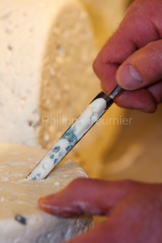 IMG_47113_Aveyron (12) ROQUEFORT SUR SOULZON  CAVE ROQUEFORT SOC