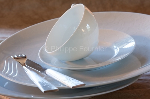 IMG_47582_HAUTE VIENNE (87) SAINT LEONARD DE NOBLAT PORCELAINE D