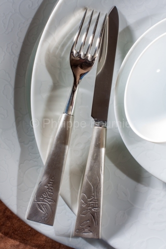 IMG_47588_HAUTE VIENNE (87) SAINT LEONARD DE NOBLAT PORCELAINE D