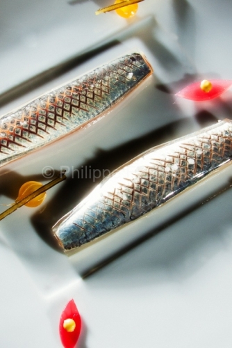 IMG_48606_LOIRE (42) ROANNE SARDINES DE LAMPARO MARINEES UN PETI