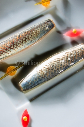 IMG_48606_LOIRE (42) ROANNE SARDINES DE LAMPARO MARINEES UN PETI