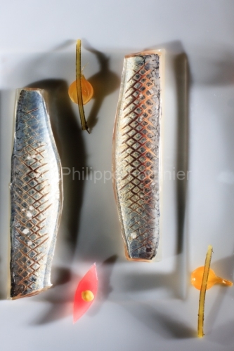 IMG_48613_LOIRE (42) ROANNE SARDINES DE LAMPARO MARINEES UN PETI