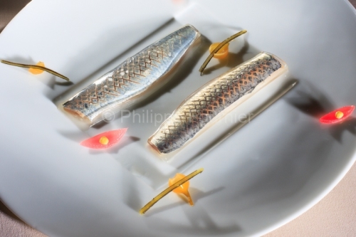IMG_48629_LOIRE (42) ROANNE SARDINES DE LAMPARO MARINEES UN PETI
